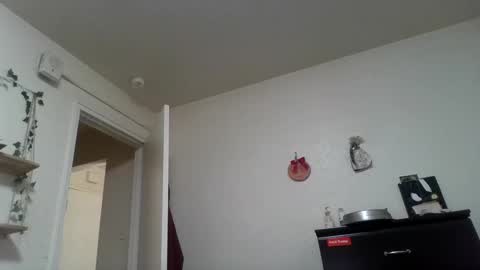 Dani online show from 02.24.25