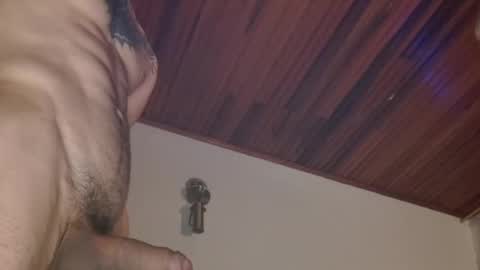 Dani online show from 12.11.24