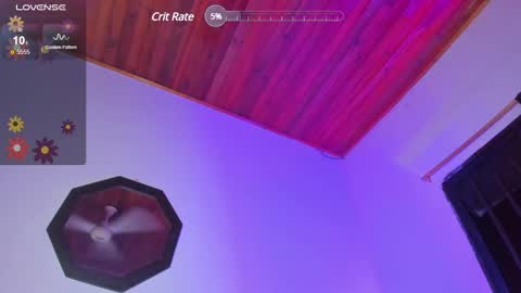 DANIA online show from 01.03.25