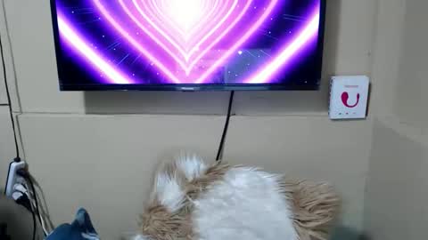 Danica online show from 12.15.25