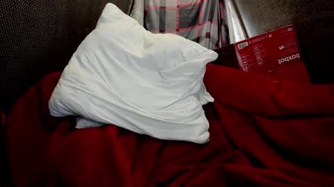 Just Ben online show from 03.24.26