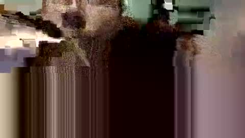 danieldayz online show from 10.09.25