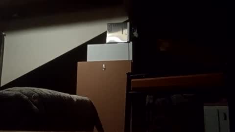 danieldayz online show from 11.04.25