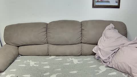 HilmarZ online show from 11.17.25