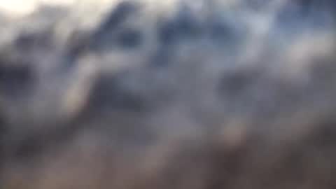 Snapshot of dannowisc chatting on 02.17.26 dannowisc online show from 02.17.26