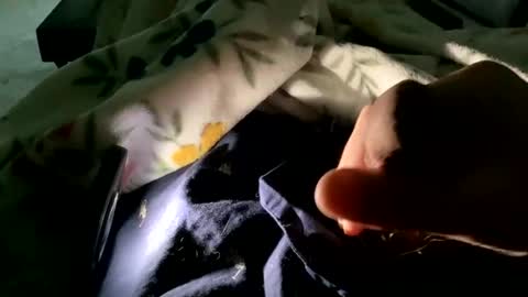 dannyboy621 online show from 11.09.25