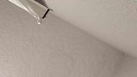 Snapshot of dano9696 chatting on 02.23.26 dano9696 online show from 02.23.26