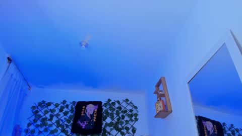 dante_cooper_0 online show from 12.12.24