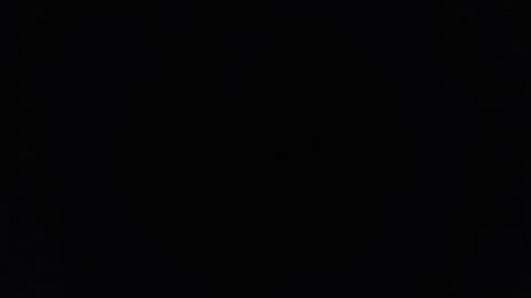 dantehellsingx online show from 11.29.25