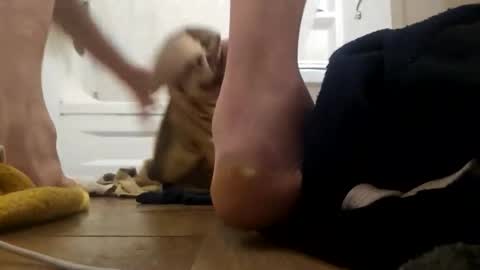 Snapshot of danydevil chatting on 11.25.25 danydevil online show from 11.25.25