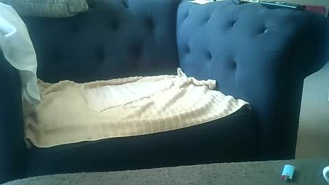 DarkAngel online show from 01.08.25