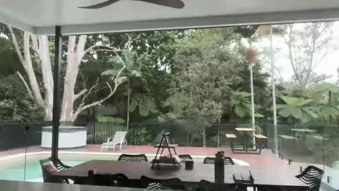 Snapshot of dartanian0001 chatting on 09.18.25 dartanian0001 online show from 09.18.25