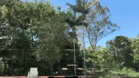 Snapshot of dartanian0001 chatting on 09.30.25 dartanian0001 online show from 09.30.25