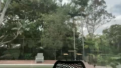 Snapshot of dartanian0001 chatting on 10.01.25 dartanian0001 online show from 10.01.25