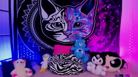 daryimiau online show from 04.20.26