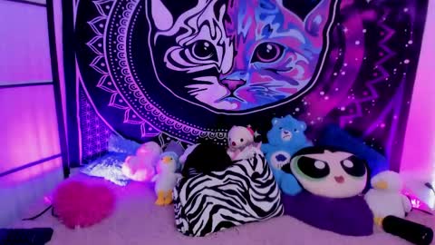 daryimiau online show from 04.25.26