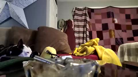 daryltasha8191 online show from 01.20.25