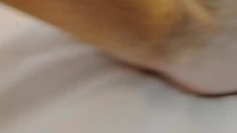 Snapshot of david1982yesyes chatting on 03.02.26 david1982yesyes online show from 03.02.26