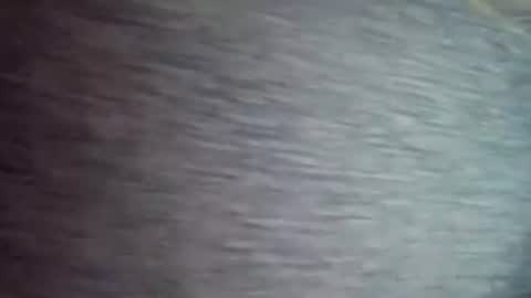 David1438 online show from 04.12.26