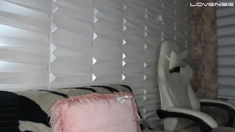 David col11 online show from 11.17.25