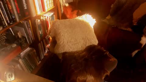 Snapshot of davidbo_no1 chatting on 01.15.25 David online show from 01.15.25