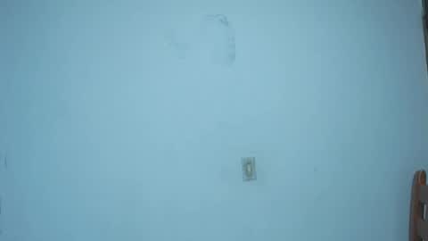 David Galvis - independent model online show from 03.12.25