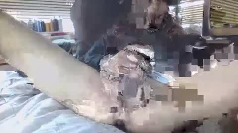 Your daddy online show from 09.30.25