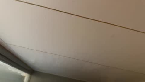 Hornybear online show from 01.19.26