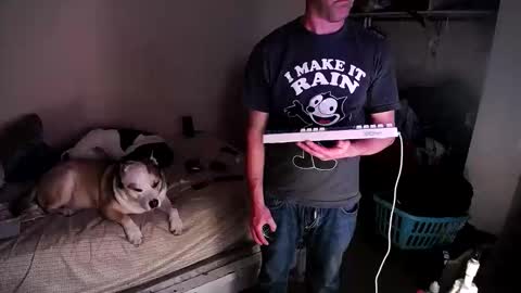 dbfroge online show from 03.13.26