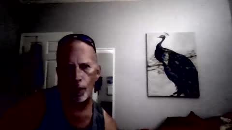dcoester online show from 05.19.26