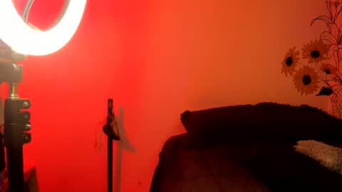 Snapshot of dear_venus chatting on 12.04.24 venus adam online show from 12.04.24