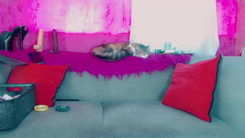 deboragill online show from 03.13.26