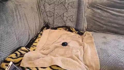 Snapshot of deepandwet86 chatting on 02.28.26 deepandwet86 online show from 02.28.26