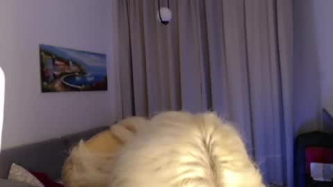 Jenna online show from 07.06.26