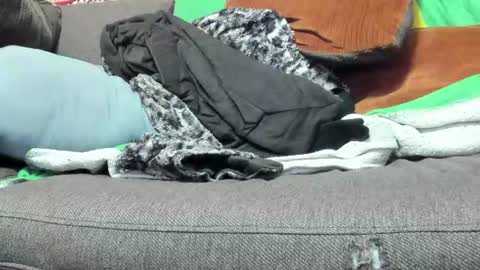Deez Nutz online show from 08.03.26