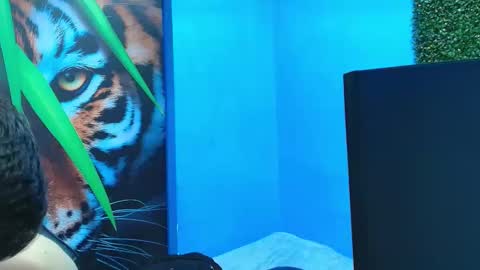 Snapshot of deiby_baby chatting on 01.31.26 DEIBY online show from 01.31.26