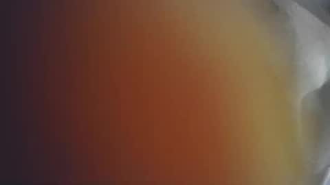 delaylaylay online show from 04.03.26