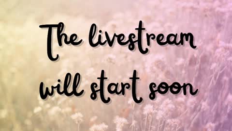 DeLite  Next stream on Wednesday or Thurdsay  online show from 03.12.25