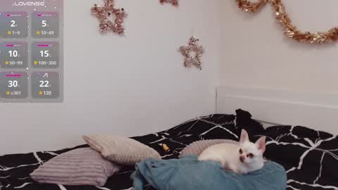 Demi. not your babybabebb and other shit online show from 12.25.24