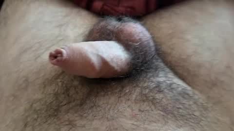 Snapshot of denis647 chatting on 09.15.25 LilRoach online show from 09.15.25