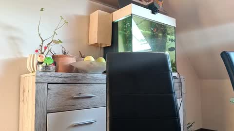 Denise and Brad online show from 04.07.26