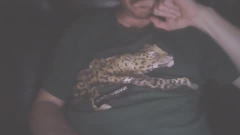 playtime online show from 12.26.24