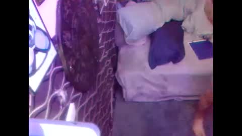 denveversbb online show from 10.05.25