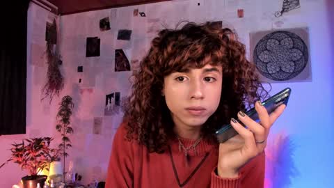 Desidias online show from 12.11.24