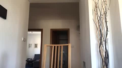 desirtexz online show from 04.25.26