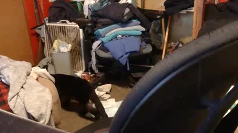 desolation2012 online show from 03.27.26