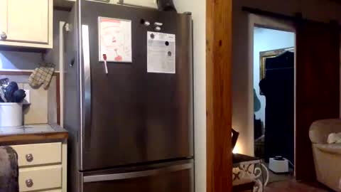 Snapshot of devjsav12 chatting on 01.19.25 devjsav12 online show from 01.19.25