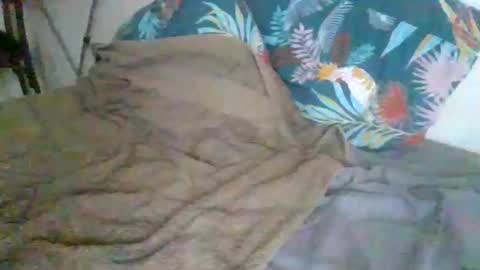 dexterwatchme online show from 01.15.26