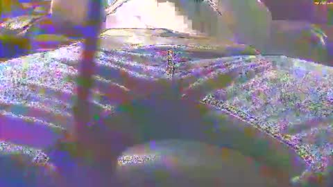 dfwgonewrong online show from 11.03.25