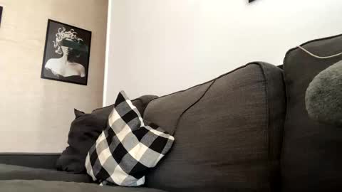 Dhalia online show from 11.03.25